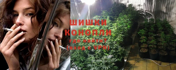 сатива Кодинск