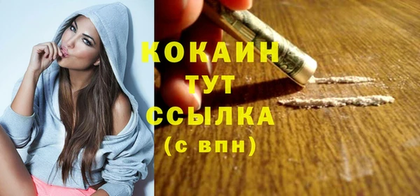 сатива Кодинск
