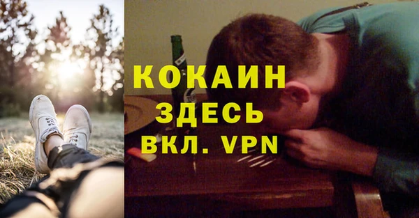 сатива Кодинск