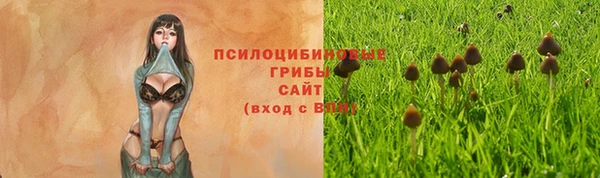 mdma Козельск