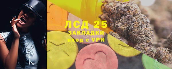 сатива Кодинск